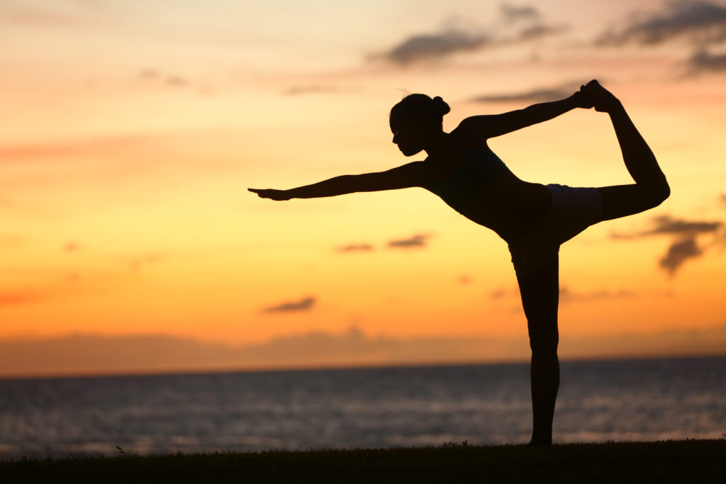 Yoga Hatha-Raja